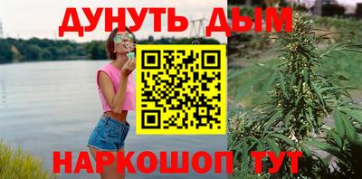 стафф Новозыбков