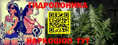стафф Новозыбков