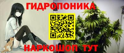 стафф Новозыбков